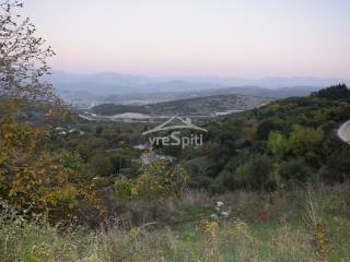 ΑΠΟΨΗ ΟΙΚΟΠΕΔΟΥ