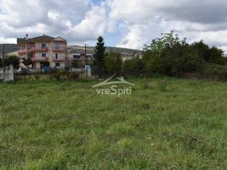 ΑΠΟΨΗ ΟΙΚΟΠΕΔΟΥ