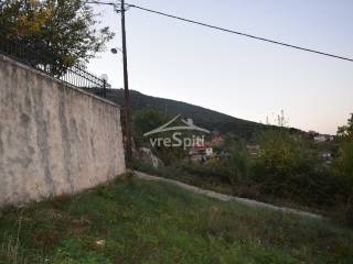 ΑΠΟΨΗ ΟΙΚΟΠΕΔΟΥ