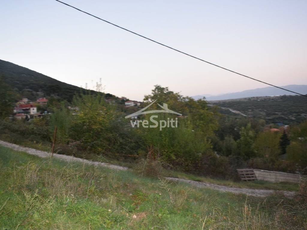 ΑΠΟΨΗ ΟΙΚΟΠΕΔΟΥ