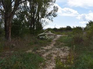 ΑΠΟΨΗ ΟΙΚΟΠΕΔΟΥ