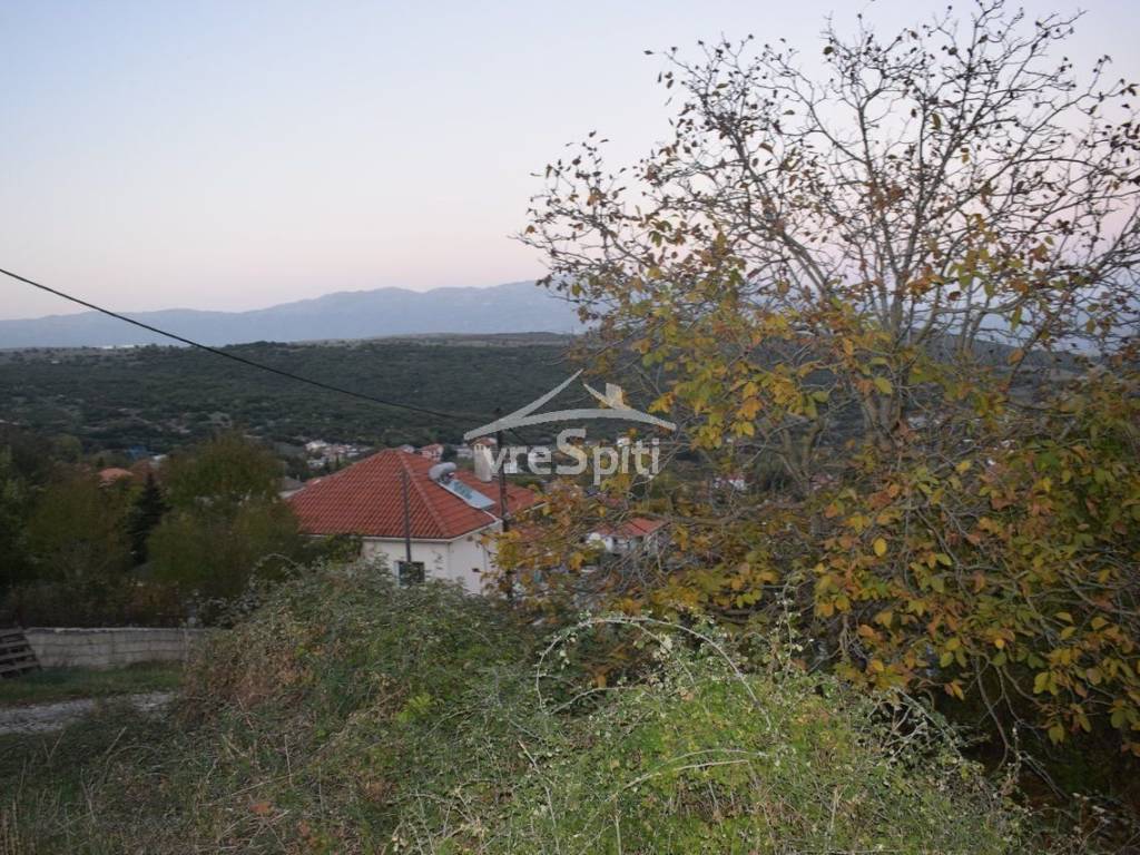 ΑΠΟΨΗ ΟΙΚΟΠΕΔΟΥ