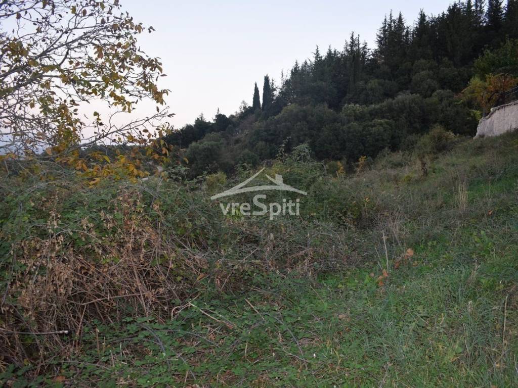 ΑΠΟΨΗ ΟΙΚΟΠΕΔΟΥ