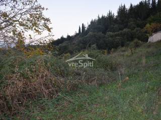 ΑΠΟΨΗ ΟΙΚΟΠΕΔΟΥ