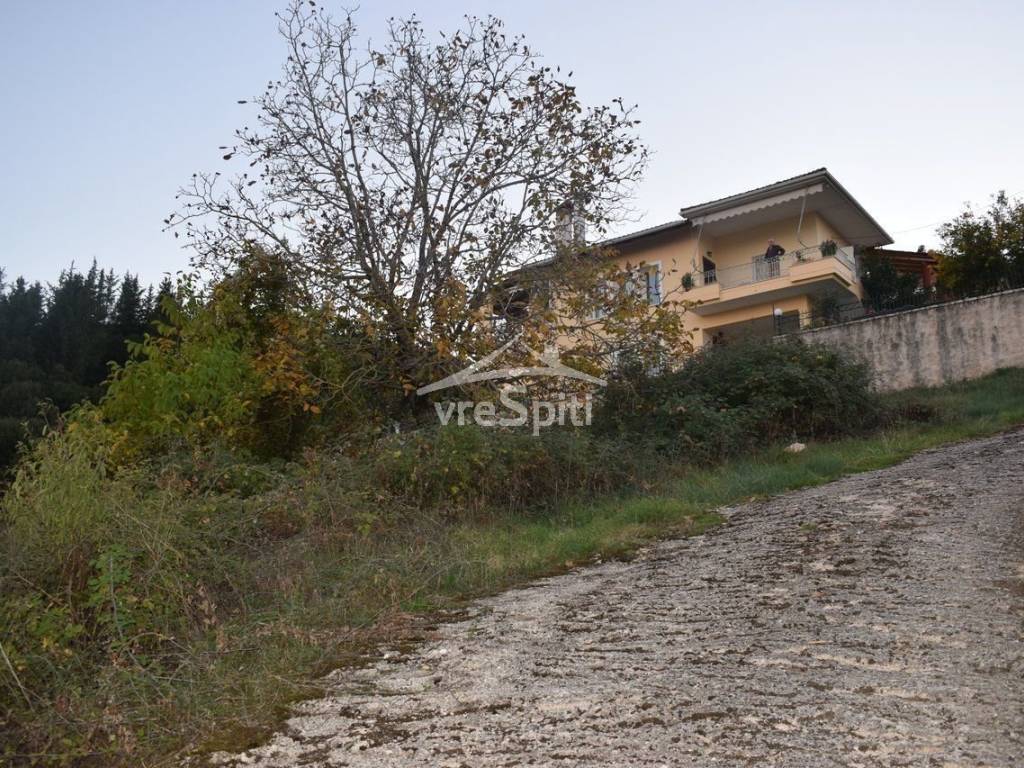 ΑΠΟΨΗ ΟΙΚΟΠΕΔΟΥ