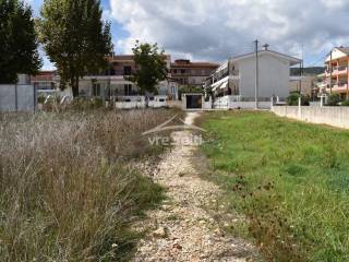 ΑΠΟΨΗ ΟΙΚΟΠΕΔΟΥ