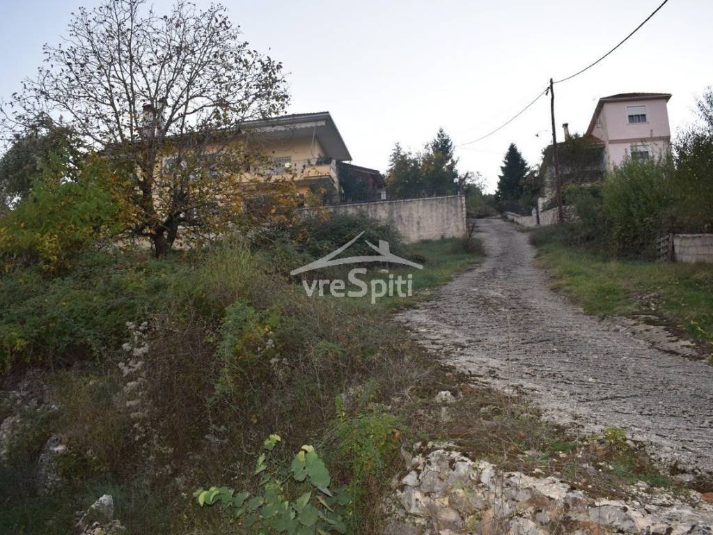 ΑΠΟΨΗ ΟΙΚΟΠΕΔΟΥ