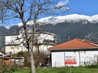 Φωτογραφίες οικοπέδου.