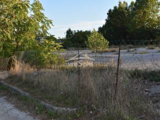 ΑΠΟΨΗ ΟΙΚΟΠΕΔΟΥ