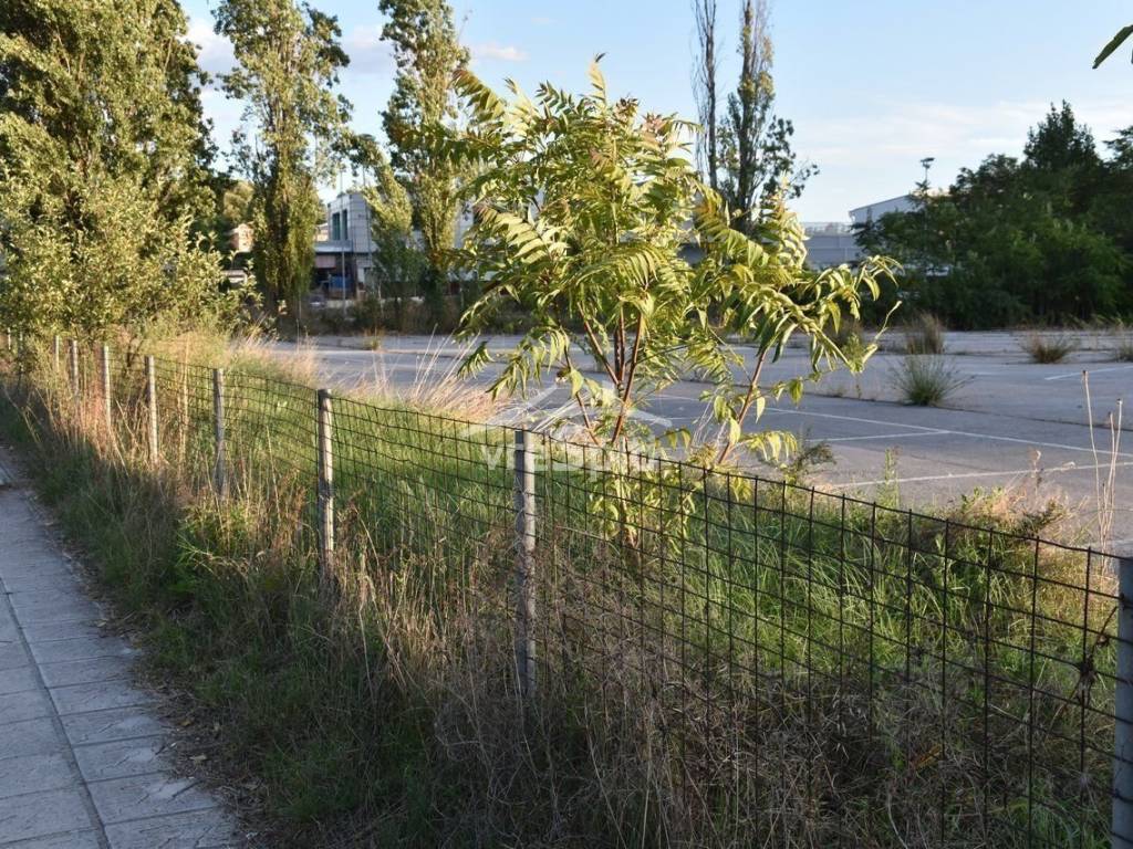 ΑΠΟΨΗ ΟΙΚΟΠΕΔΟΥ