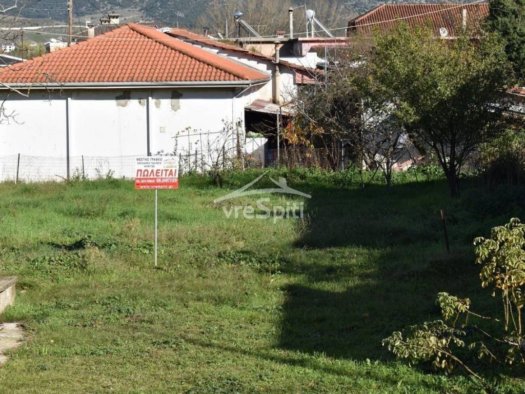 Φωτογραφίες οικοπέδου.