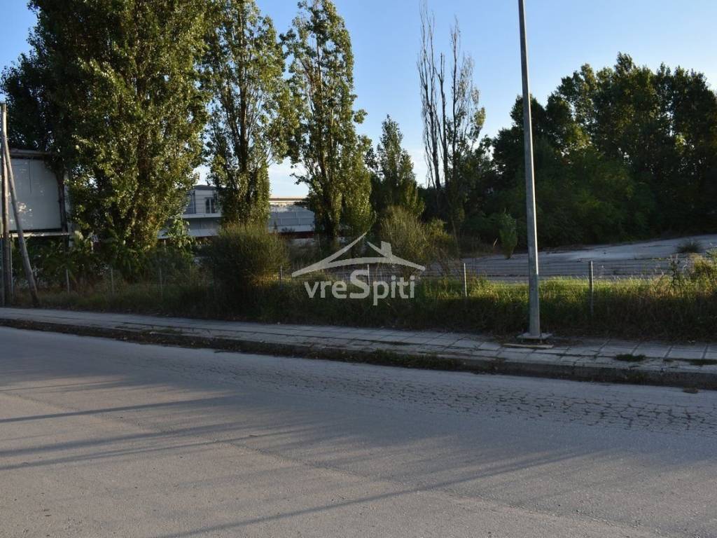 ΑΠΟΨΗ ΟΙΚΟΠΕΔΟΥ