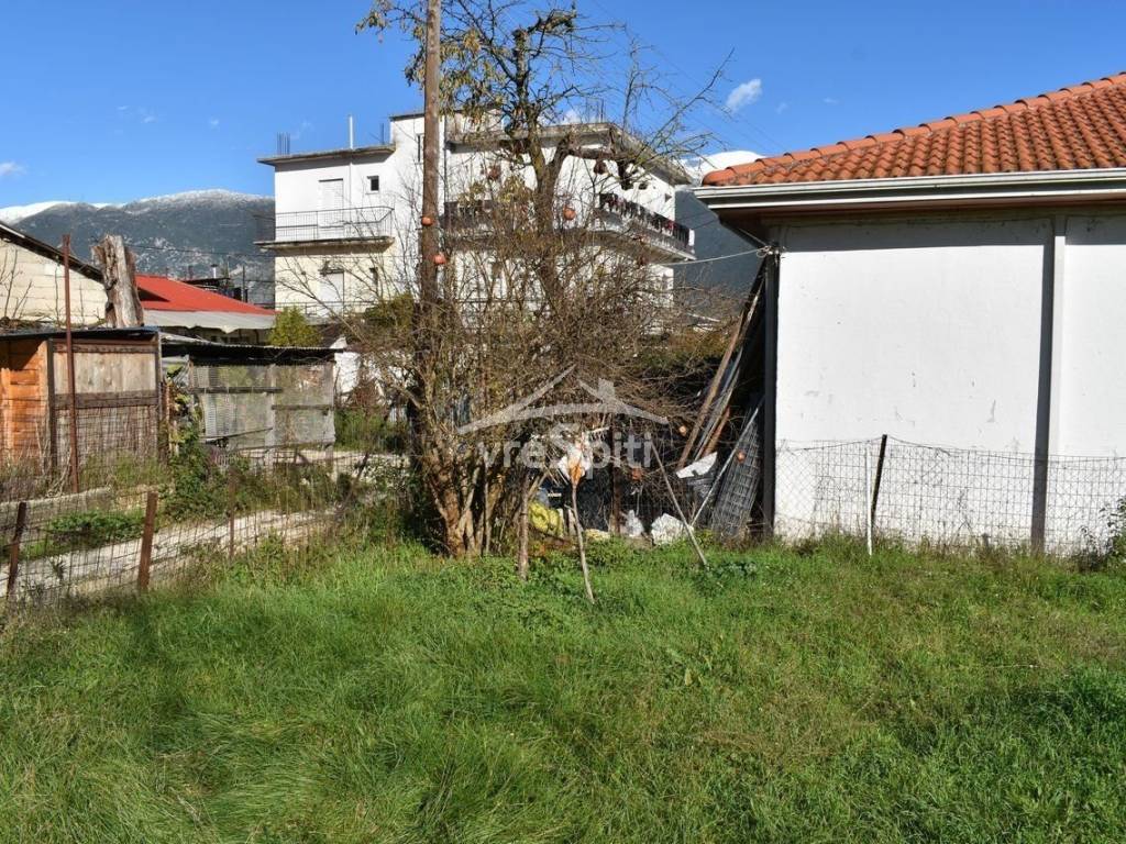 Φωτογραφίες οικοπέδου.