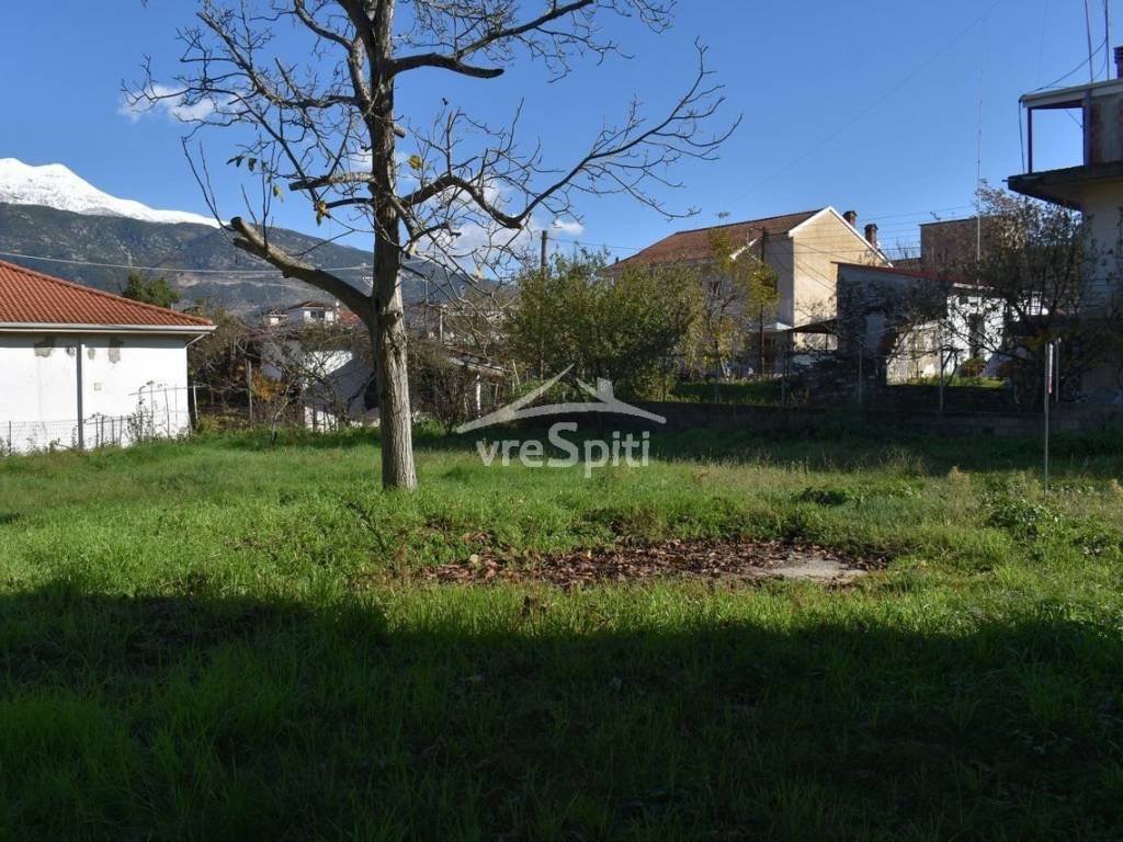 Φωτογραφίες οικοπέδου.