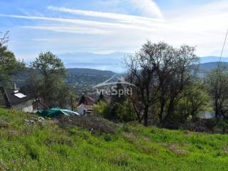 ΑΠΟΨΗ ΟΙΚΟΠΕΔΟΥ