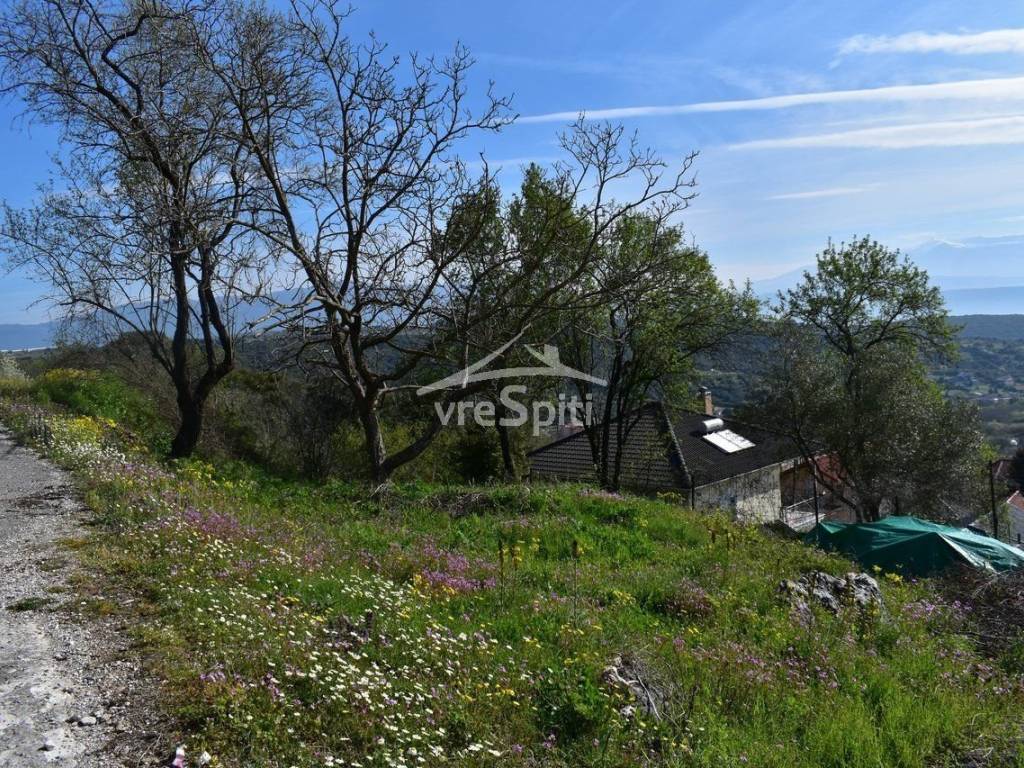 ΑΠΟΨΗ ΟΙΚΟΠΕΔΟΥ