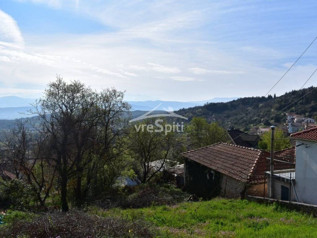 ΑΠΟΨΗ ΟΙΚΟΠΕΔΟΥ