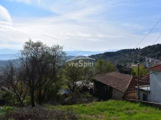 ΑΠΟΨΗ ΟΙΚΟΠΕΔΟΥ