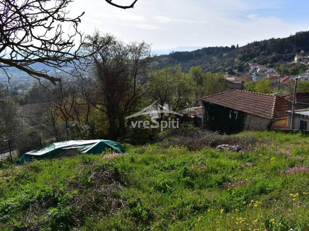 ΑΠΟΨΗ ΟΙΚΟΠΕΔΟΥ