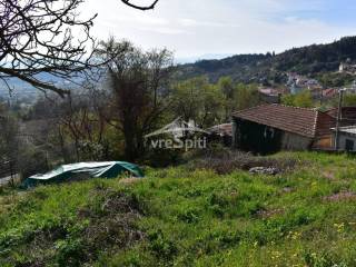 ΑΠΟΨΗ ΟΙΚΟΠΕΔΟΥ