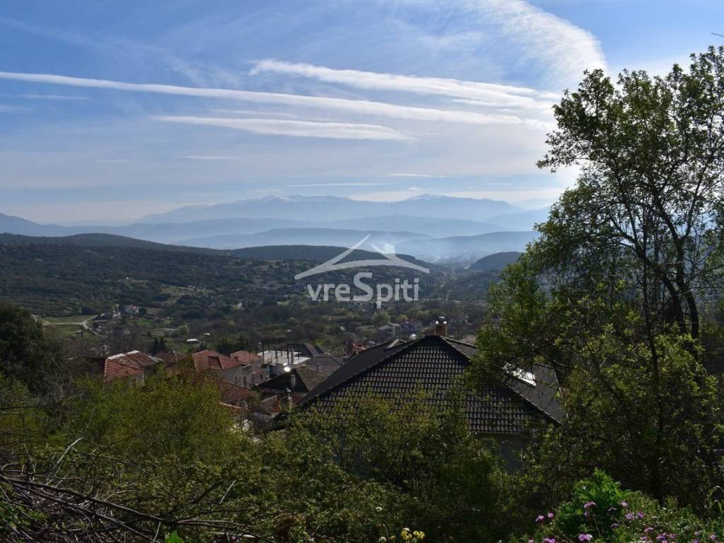 ΑΠΟΨΗ ΟΙΚΟΠΕΔΟΥ