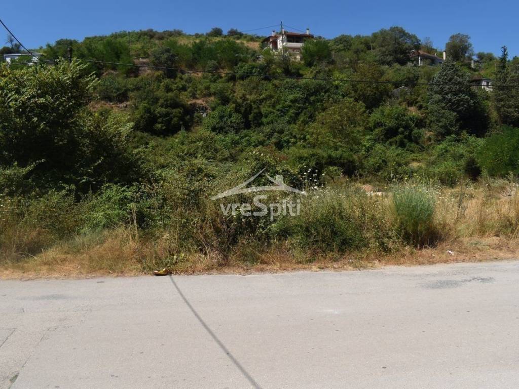 ΑΠΟΨΗ ΟΙΚΟΠΕΔΟΥ