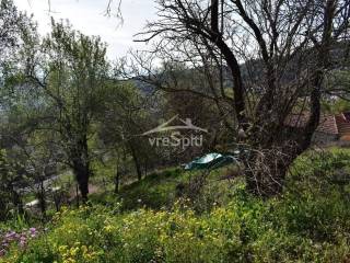 ΑΠΟΨΗ ΟΙΚΟΠΕΔΟΥ