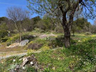 ΑΠΟΨΗ ΟΙΚΟΠΕΔΟΥ