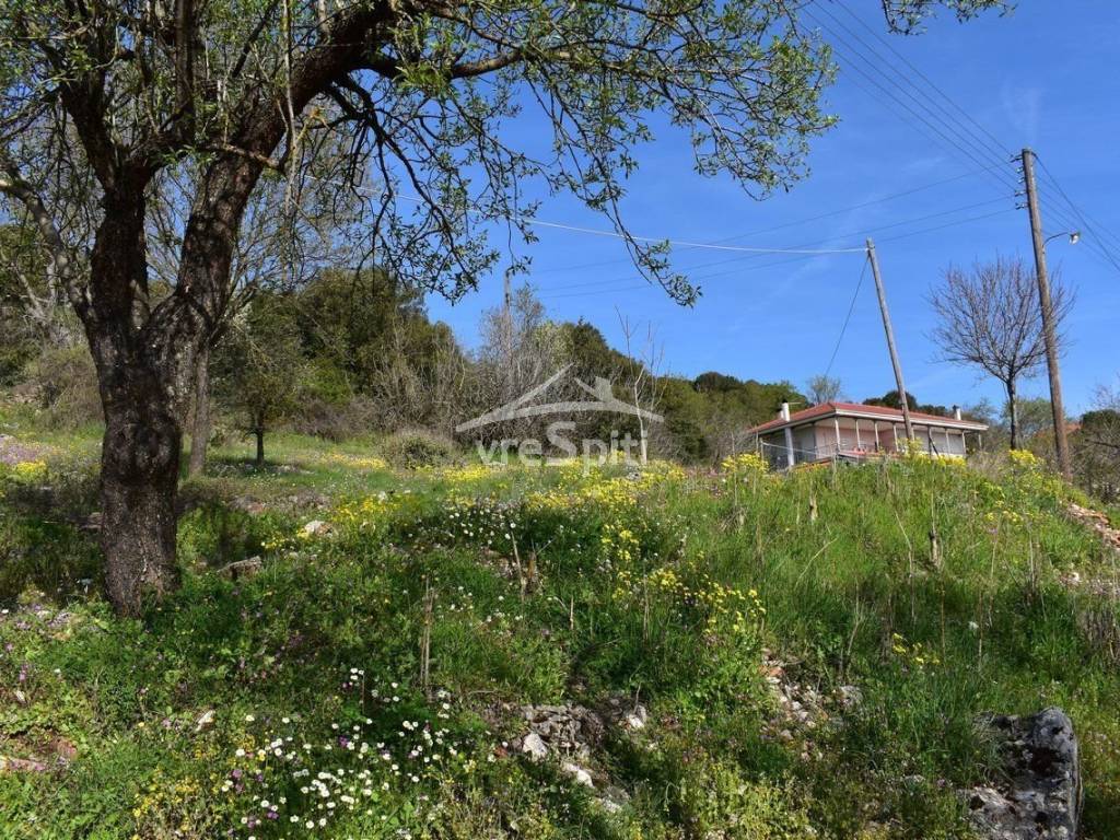 ΑΠΟΨΗ ΟΙΚΟΠΕΔΟΥ