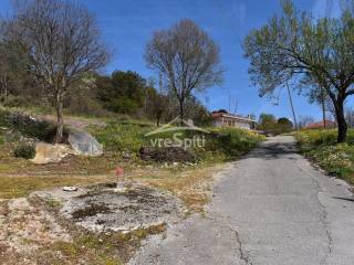 ΑΠΟΨΗ ΟΙΚΟΠΕΔΟΥ