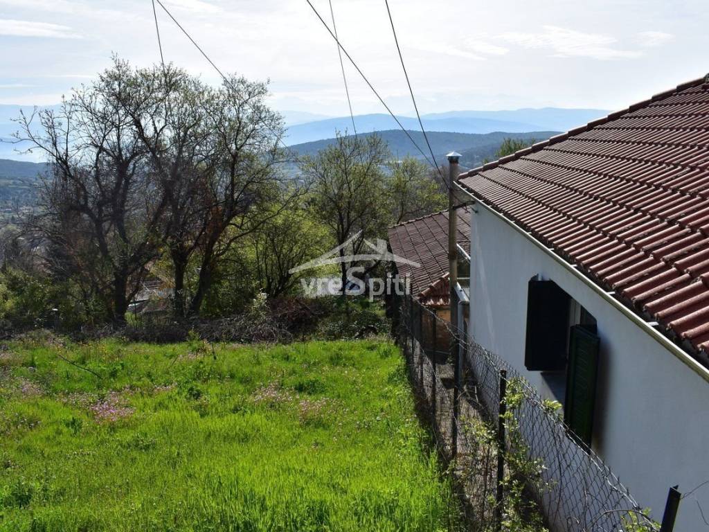 ΑΠΟΨΗ ΟΙΚΟΠΕΔΟΥ