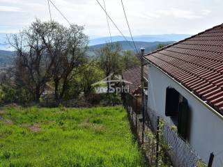 ΑΠΟΨΗ ΟΙΚΟΠΕΔΟΥ