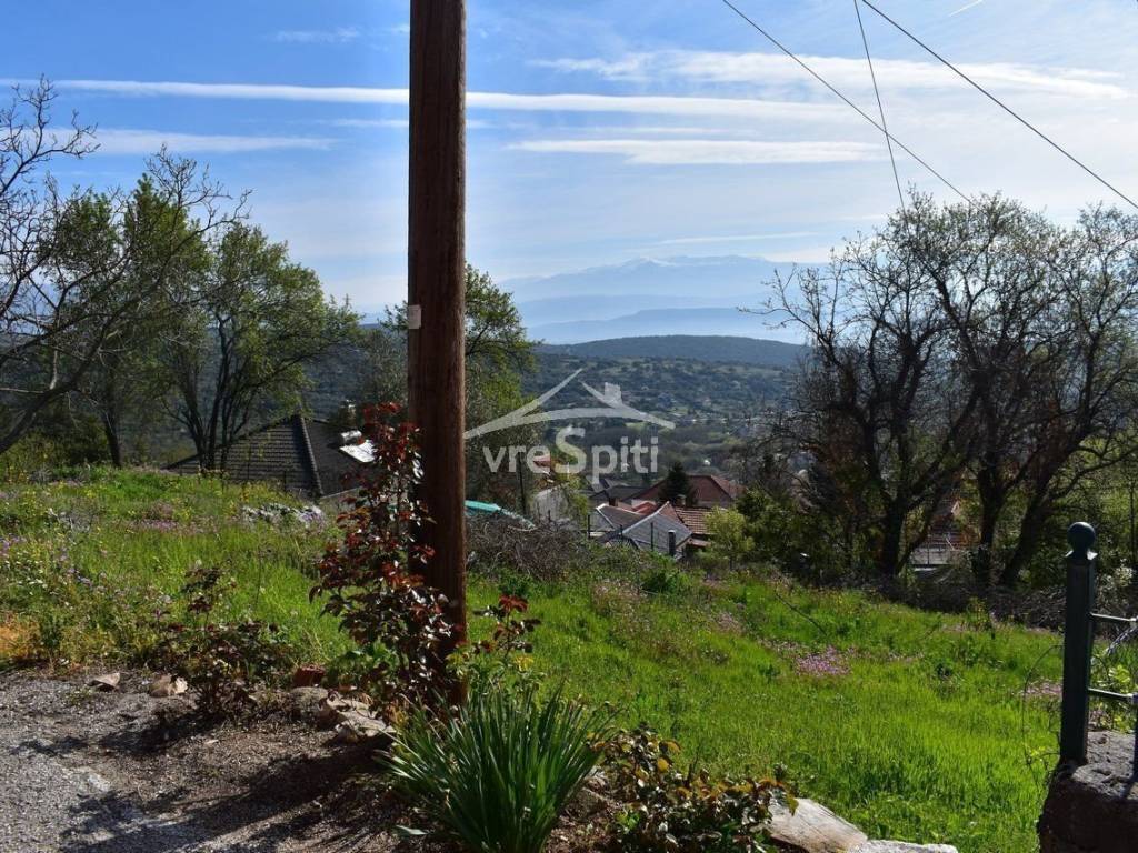 ΑΠΟΨΗ ΟΙΚΟΠΕΔΟΥ