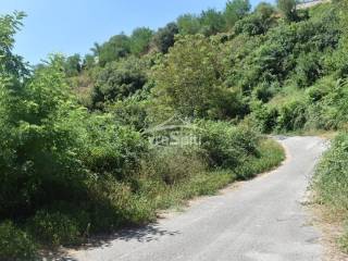 ΑΠΟΨΗ ΟΙΚΟΠΕΔΟΥ