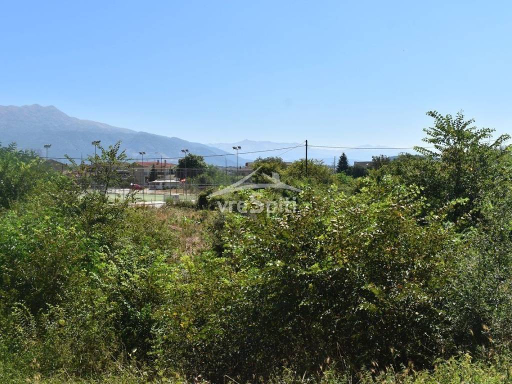 ΑΠΟΨΗ ΟΙΚΟΠΕΔΟΥ