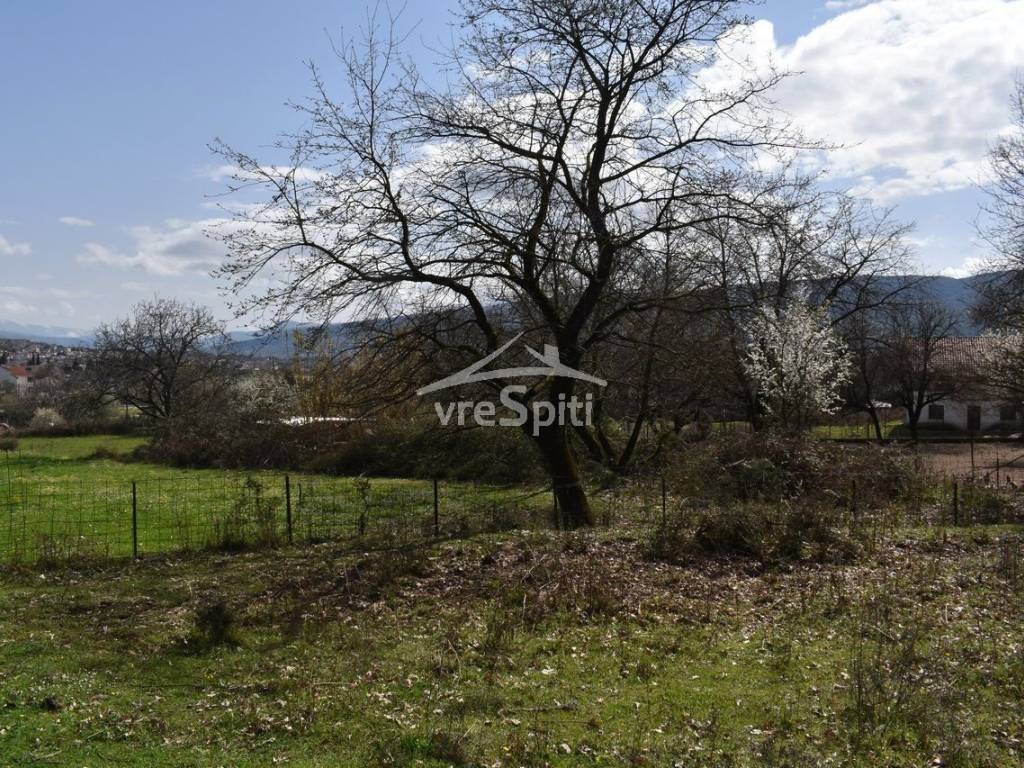 ΑΠΟΨΗ ΟΙΚΟΠΕΔΟΥ