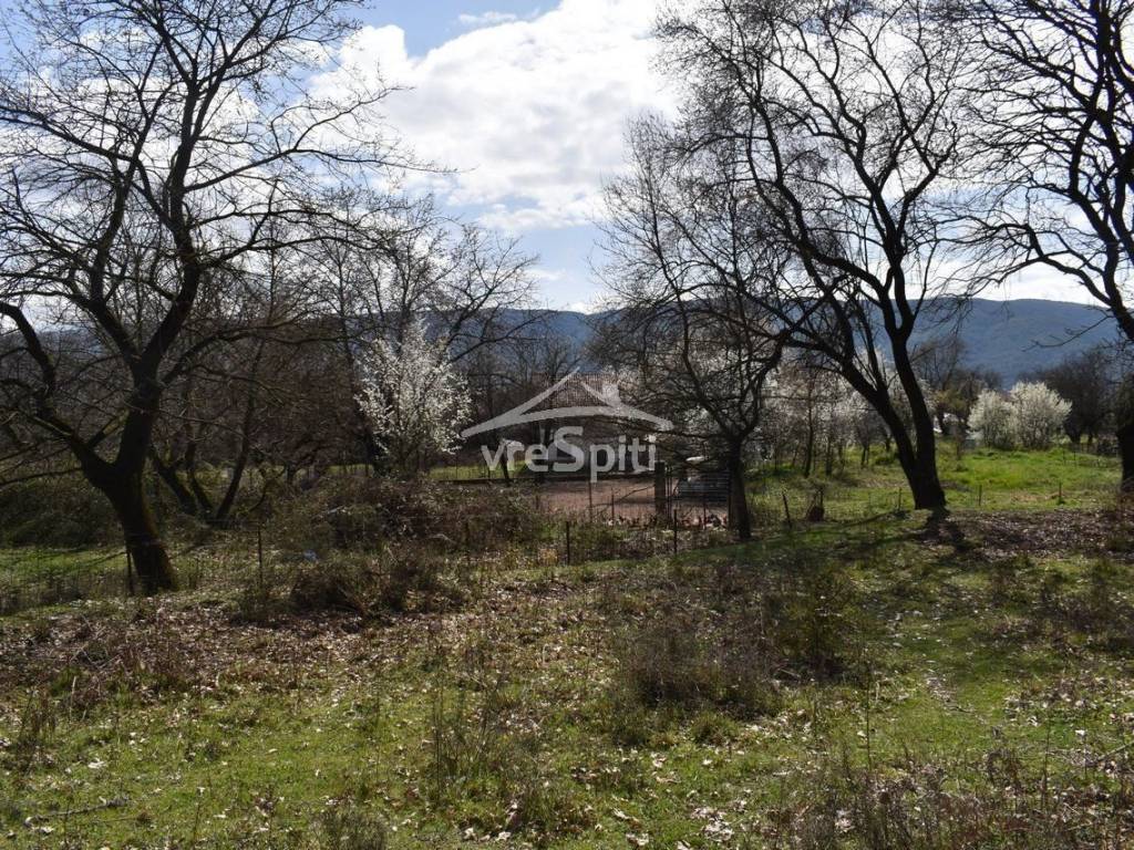 ΑΠΟΨΗ ΟΙΚΟΠΕΔΟΥ