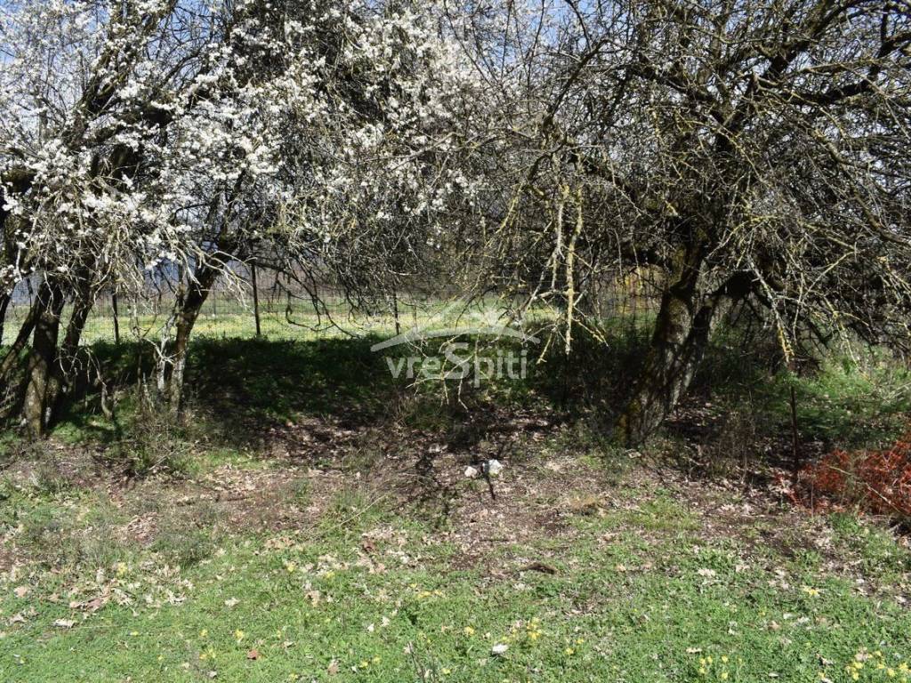 ΑΠΟΨΗ ΟΙΚΟΠΕΔΟΥ