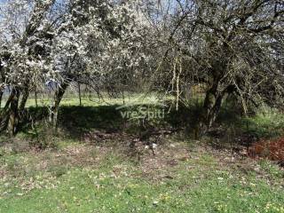 ΑΠΟΨΗ ΟΙΚΟΠΕΔΟΥ