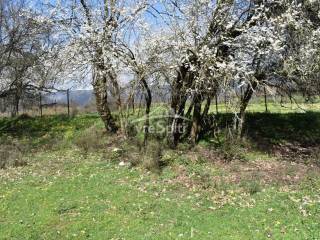 ΑΠΟΨΗ ΟΙΚΟΠΕΔΟΥ