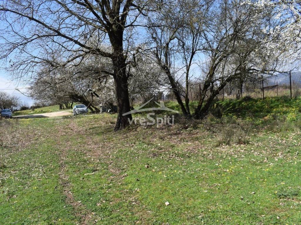 ΑΠΟΨΗ ΟΙΚΟΠΕΔΟΥ