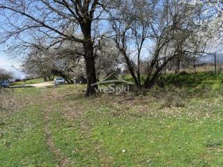 ΑΠΟΨΗ ΟΙΚΟΠΕΔΟΥ