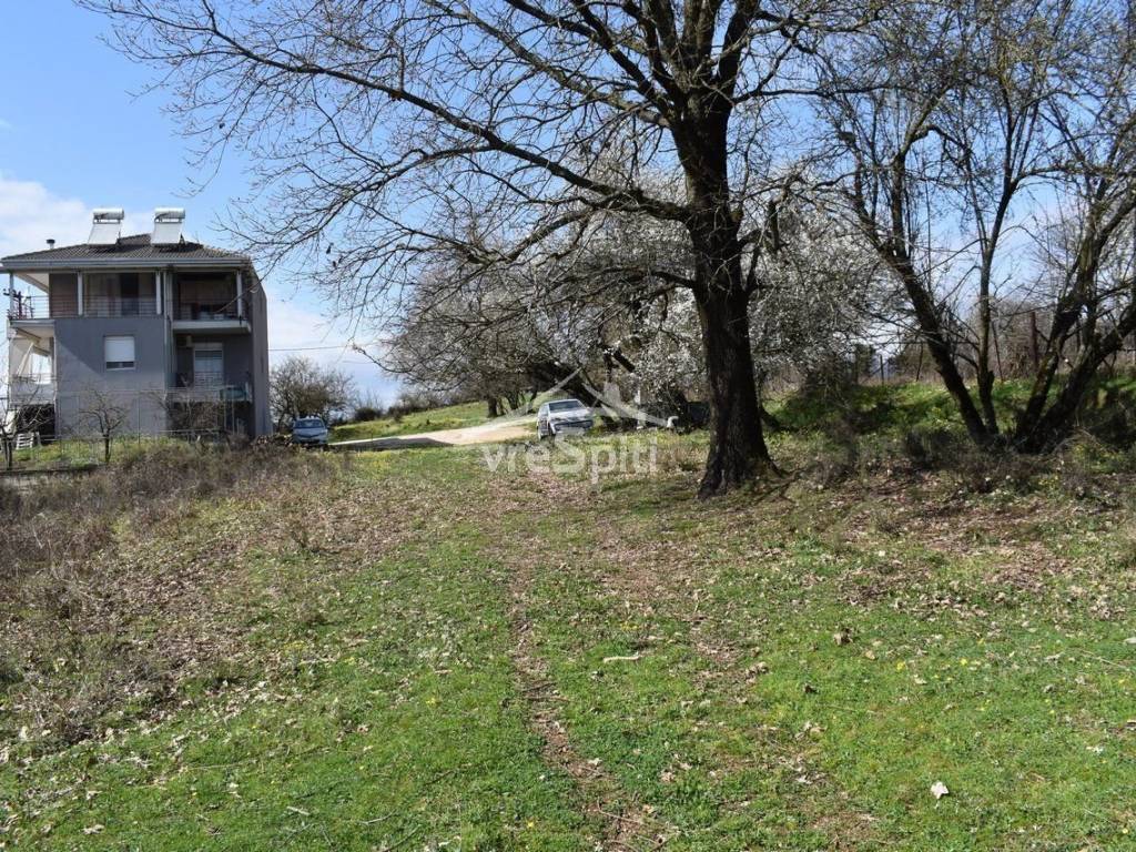 ΑΠΟΨΗ ΟΙΚΟΠΕΔΟΥ