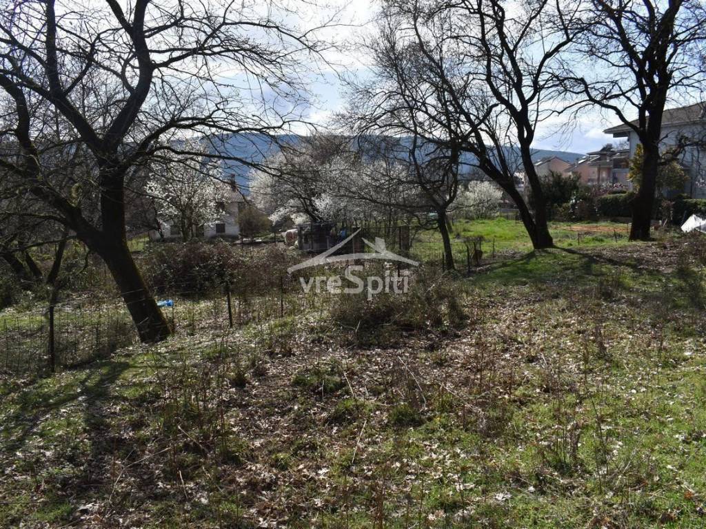 ΑΠΟΨΗ ΟΙΚΟΠΕΔΟΥ