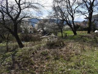 ΑΠΟΨΗ ΟΙΚΟΠΕΔΟΥ