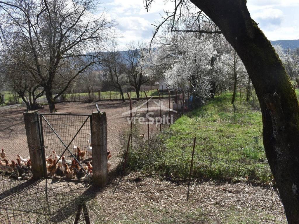 ΑΠΟΨΗ ΟΙΚΟΠΕΔΟΥ