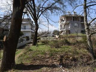 ΑΠΟΨΗ ΟΙΚΟΠΕΔΟΥ