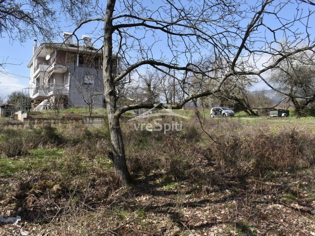 ΑΠΟΨΗ ΟΙΚΟΠΕΔΟΥ