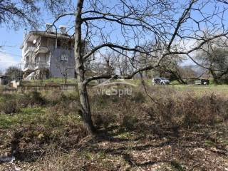 ΑΠΟΨΗ ΟΙΚΟΠΕΔΟΥ