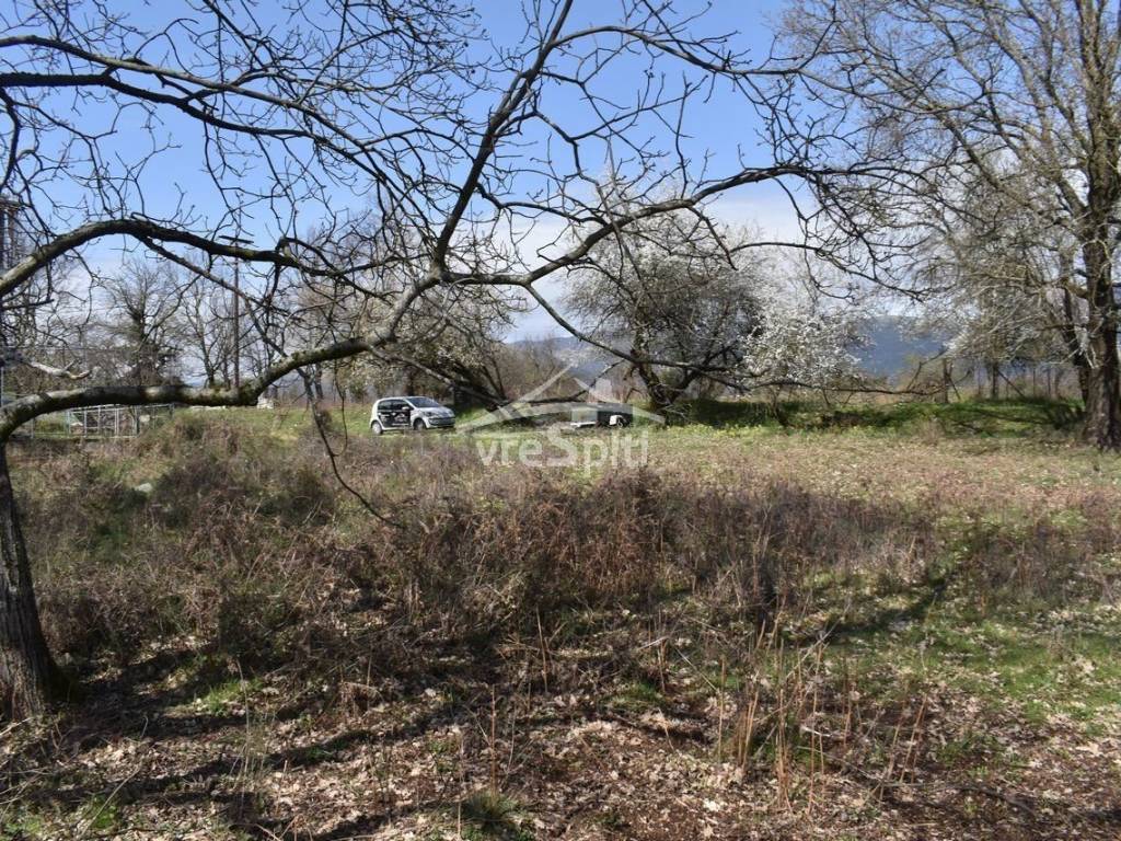 ΑΠΟΨΗ ΟΙΚΟΠΕΔΟΥ